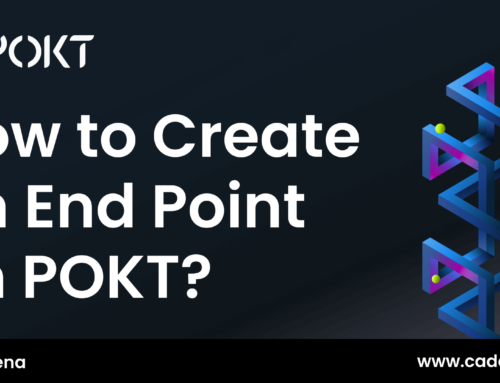 How To Create an End Point With POKT for Hardhat and Rinkeby